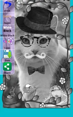 Pretty Cats android App screenshot 0