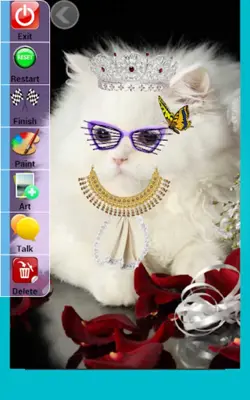 Pretty Cats android App screenshot 1