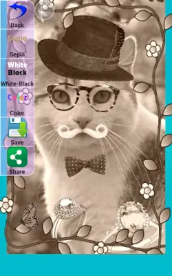 Pretty Cats android App screenshot 2