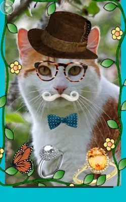 Pretty Cats android App screenshot 3