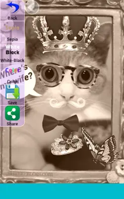 Pretty Cats android App screenshot 4